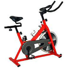 Sunny SF-B1001 Indoor Cycling Exercise Bike