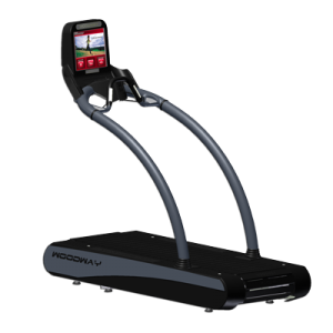 Woodway Desmo Elite Commercial Treadmill