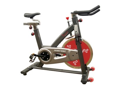 Sunny SF-B1002 Indoor Cycling Exercise Bike Reviews Buy Sunny SF-B1002 ...