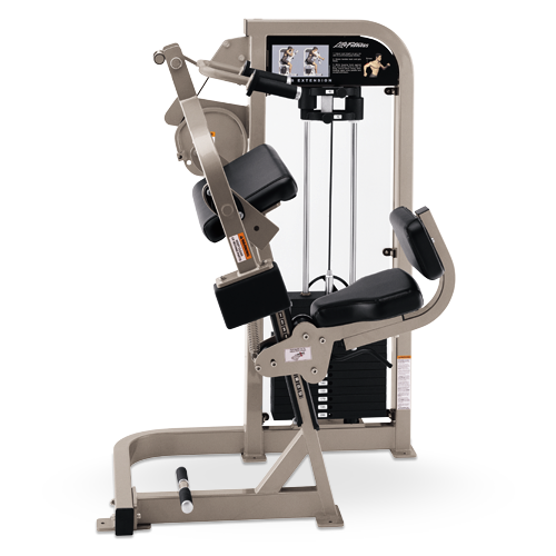 Life Fitness Pro2 Series Triceps Extension Reviews- About Life Fitness 