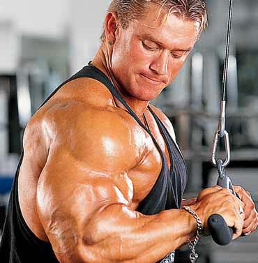 Top 8 Triceps Workout Exercises - List of Best Exercises for Triceps